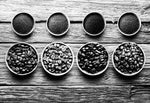 Coffee Masterclass