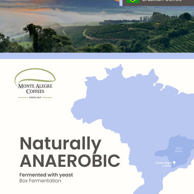 Naturally ANAEROBIC Fermented with yeast (Box Fermentation), 16/18