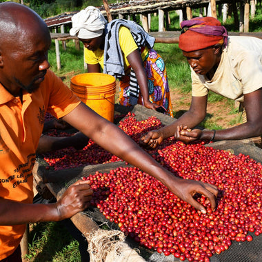 BURUNDI BAHIRE II NATURAL