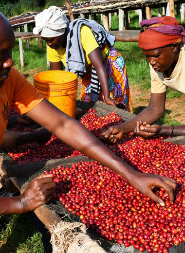 BURUNDI BAHIRE II NATURAL