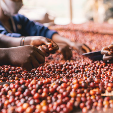 ETHIOPIA BANKO GOTITI NATURAL