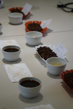 Roasting Workshop