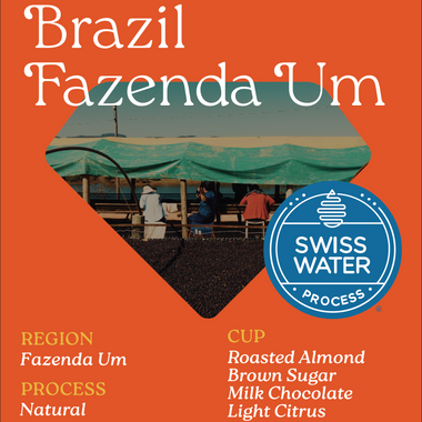 Brazil Fazenda Um Mundo Novo (EML)
