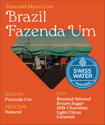 Brazil Fazenda Um Mundo Novo (EML)