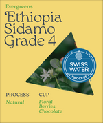 Ethiopia Sidamo Natural G4