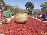 Ethiopia Guji Benti Natural(EML)