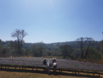 Ethiopia Guji Benti Natural(EML)